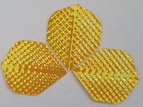 20201121_150305.jpg
