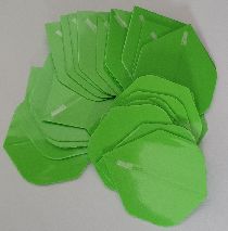 20201122_124106.jpg