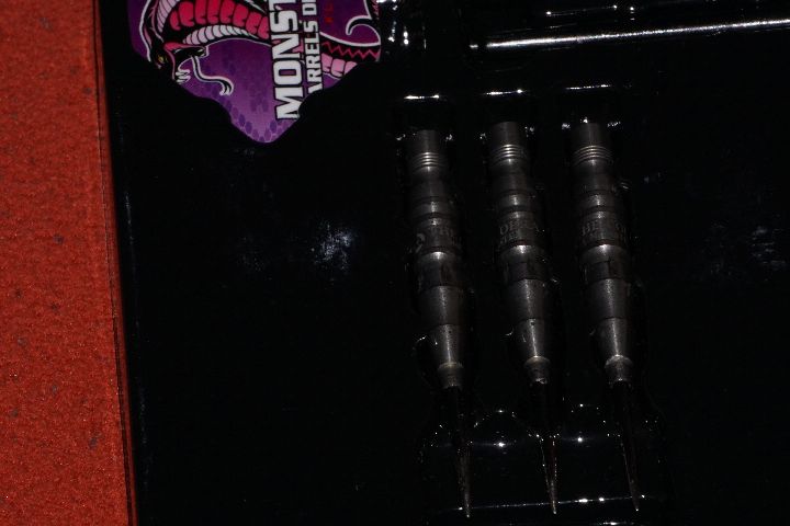 _DSC8067.JPG